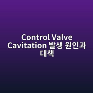 Control Valve Cavitation(제어 밸브 캐비테이션) 발생 원인과 대책 6 control valve cavitation ebb09cec839d ec9b90ec9db8eab3bc eb8c80ecb185 1782716315